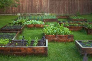 gemüsegarten