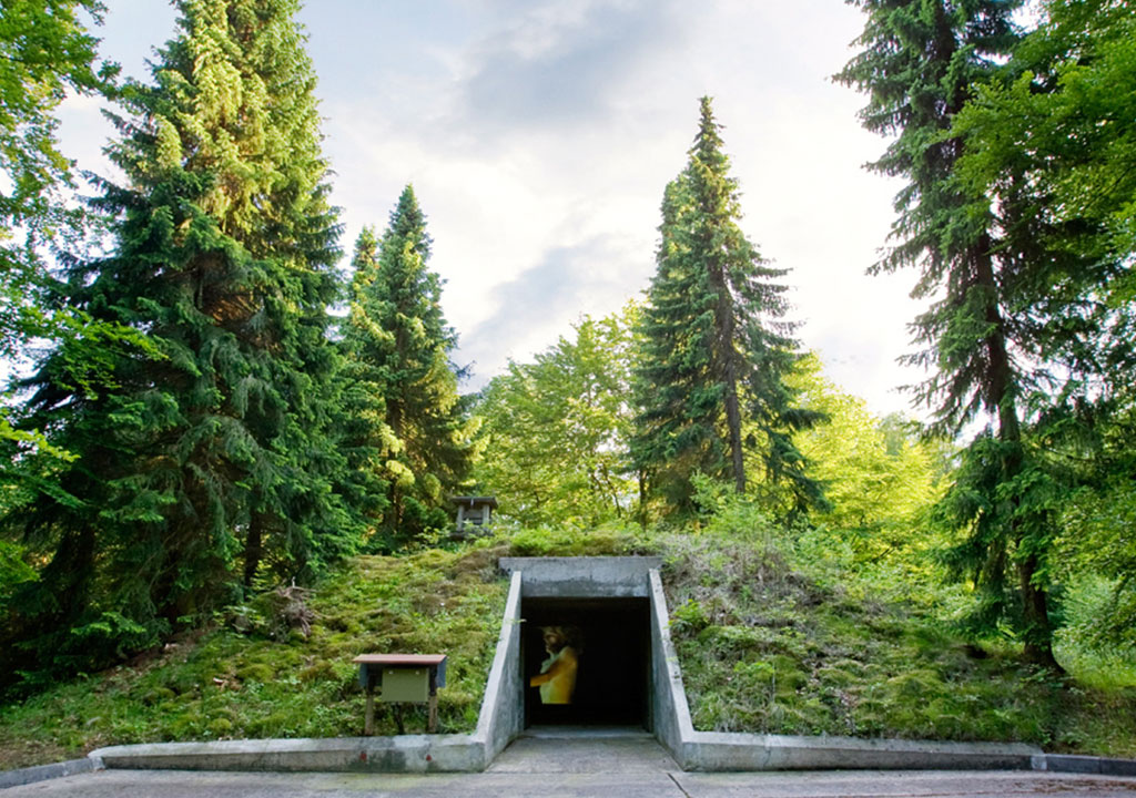 wald-mit-bunker-kaufen